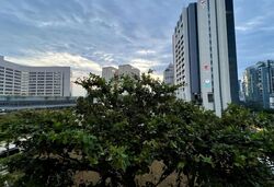 Pastoral View (D11), Apartment #558244091
